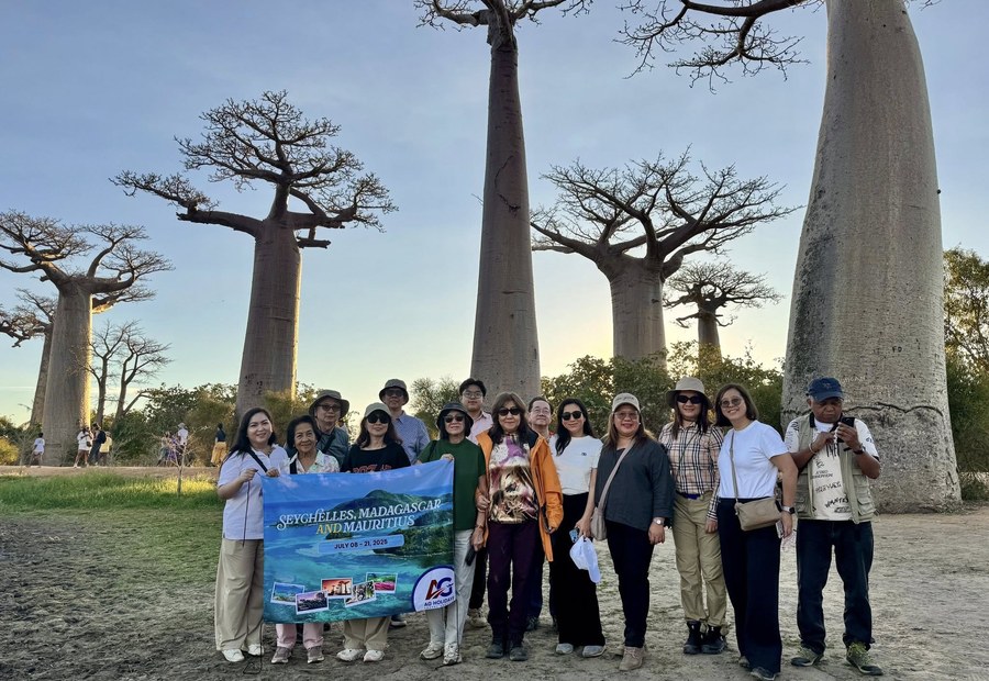 Africa Tours